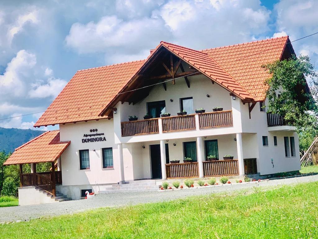 Agropensiunea Duminora Lăschia Buitenkant foto