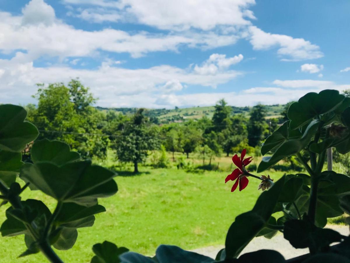 Agropensiunea Duminora Lăschia Buitenkant foto
