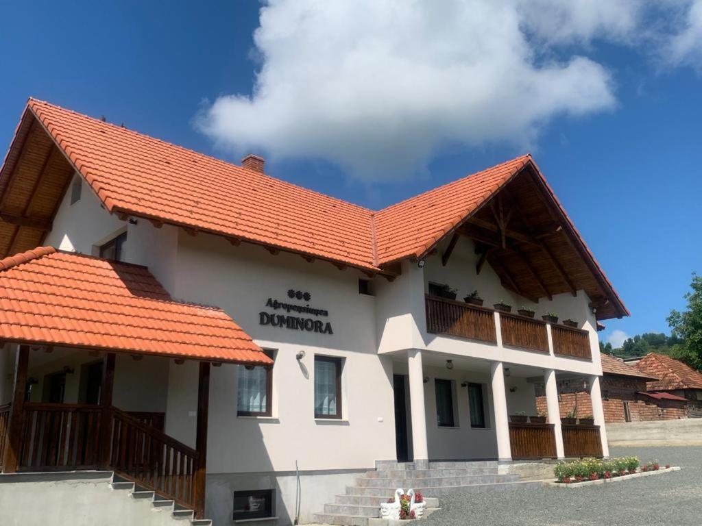 Agropensiunea Duminora Lăschia Buitenkant foto